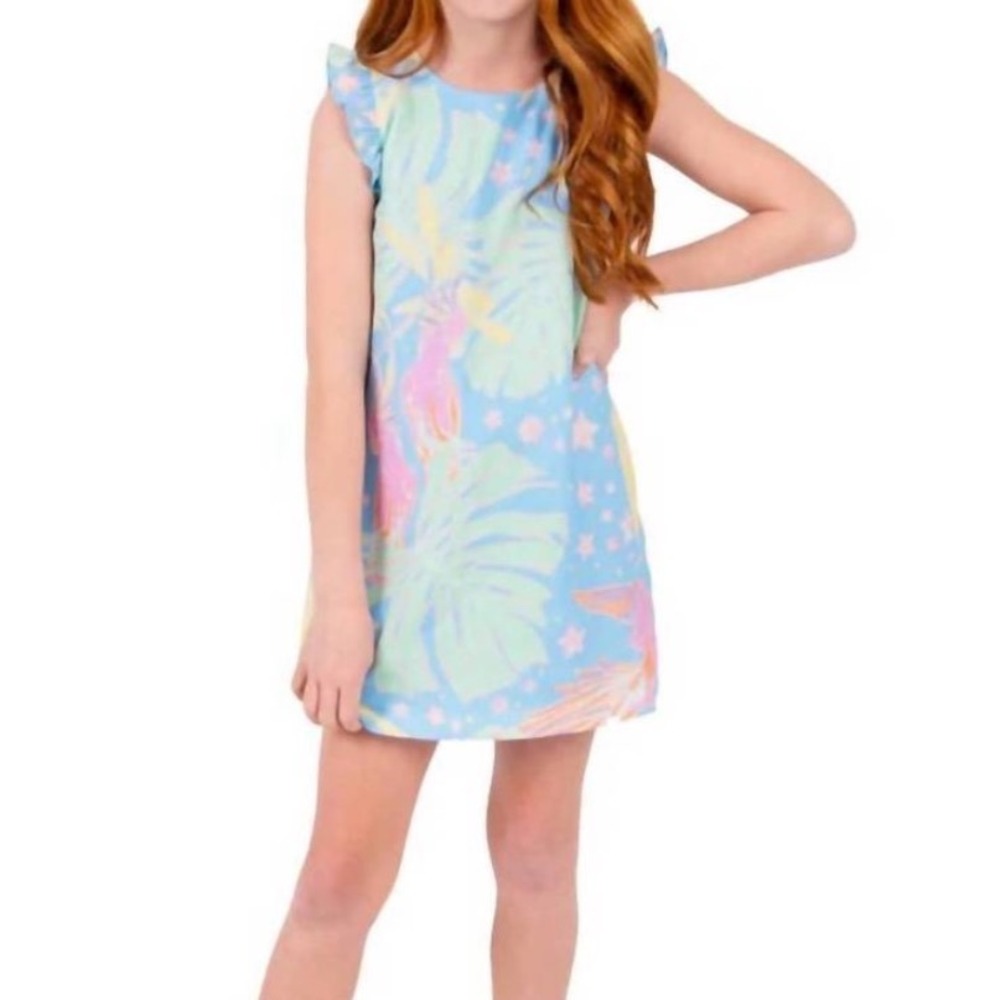 Emily McCarthy Girls Parrot Party Pastel Ruffle Shift Dress Size 4/5 Mommy + Me